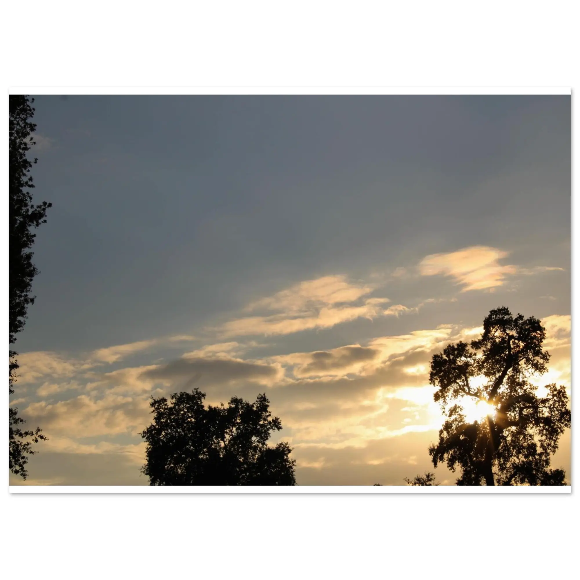 Sunset Poster