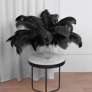12 Pack Black Natural Plume Ostrich Feathers Centerpiece Filler 24"-26"