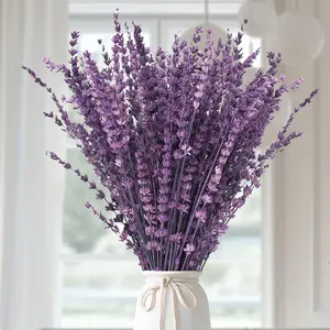Dried Purple Lavender Flowers Bundle - Dried Preserved Lavender Bouquet 15-17" for Shower Weeding, Home Vase Decor, Aromatherapy & Fragrance