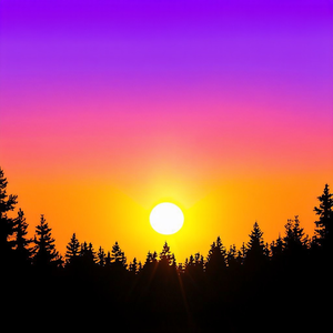 Sportswear Store qaz