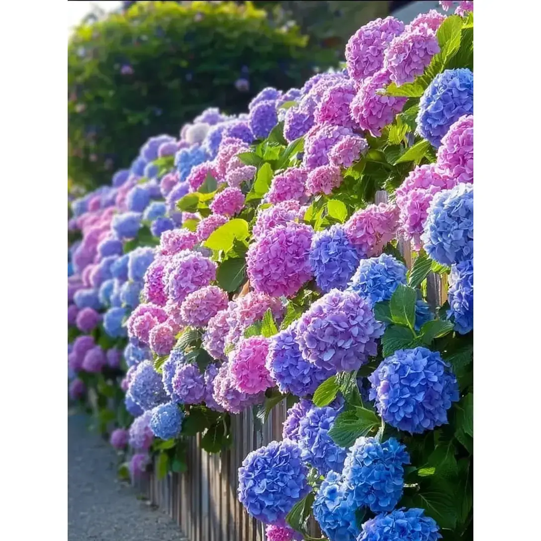 Hydrangea Seeds – Beautiful and Hardy Blooms for Your Garden