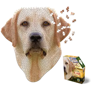 I AM LAB 550