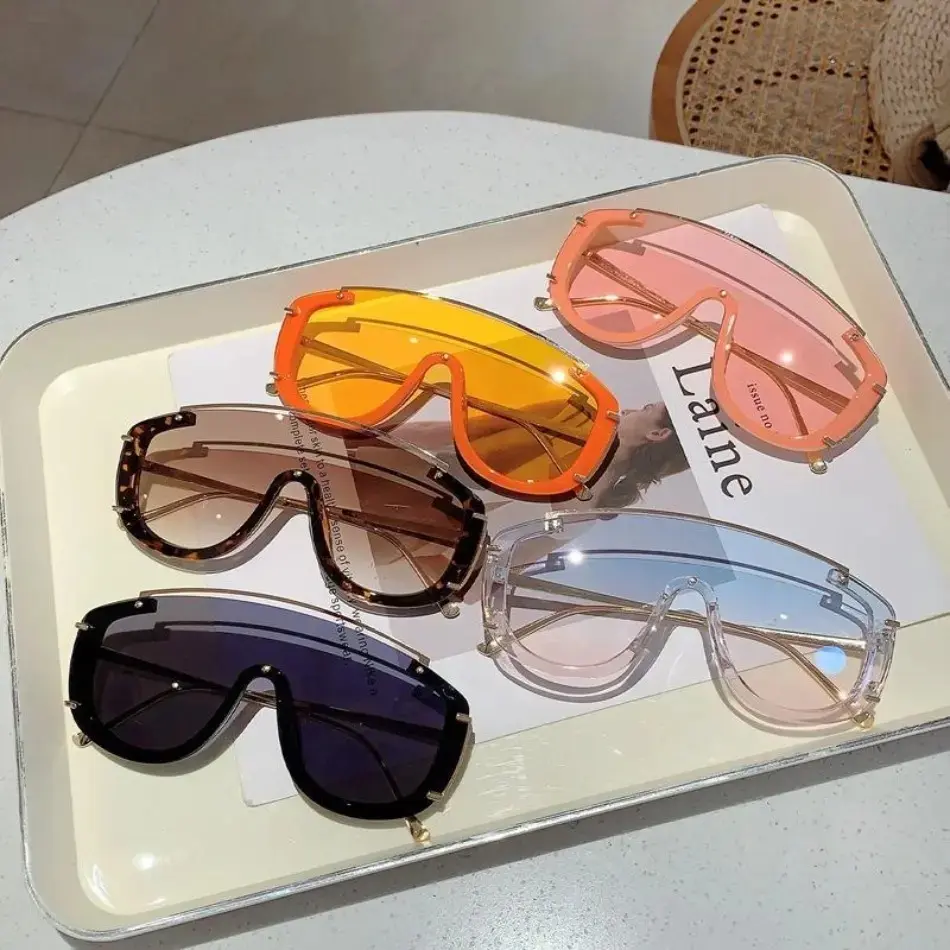 Double Bridge Sunglasses, Retro Oversized Eyewear With Trendy Design For Daily Outdoor Wear And Fashion Matching