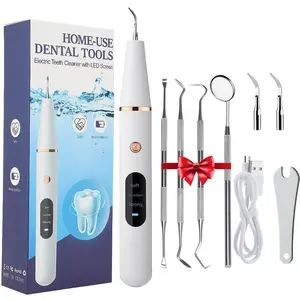 Portable Electric Tooth Cleaner, 1 Box Rechargeable Teeth Polisher with LED Light & Tooth Tools & Replacement Heads, Dental Oral Irrigator