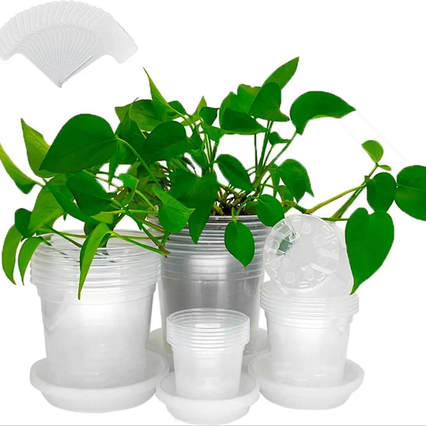 Plant Pot Set with Identification Label and Matching Saucer, Nursery Pots with Drainage Holes for Succulents, Small Herbs and Flowers, Planting Container, Plastic Planters