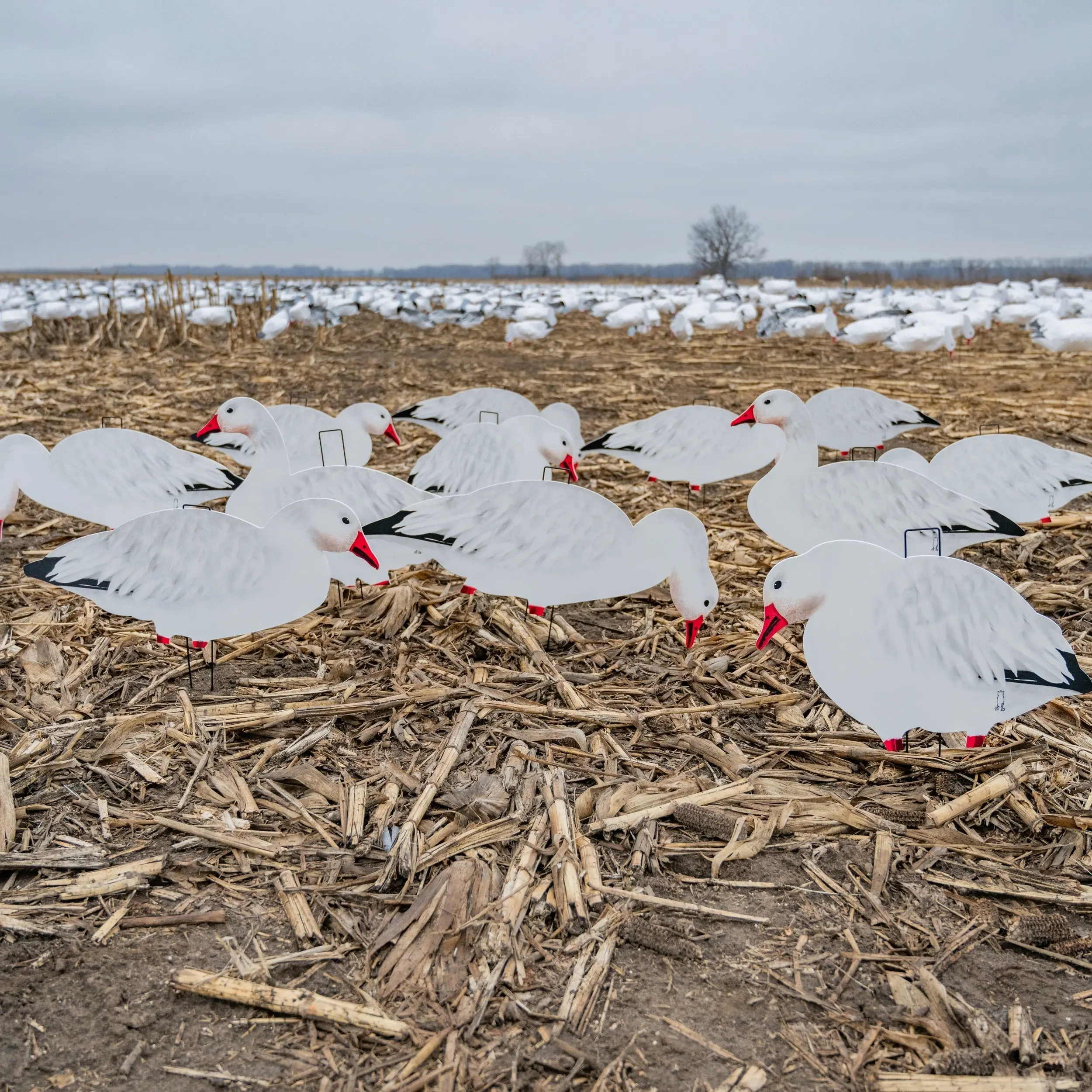 V2FF Fully Flocked Snow Goose Silhouettes