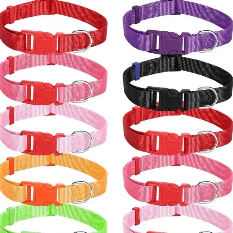 Personalized! Medium Dog Collars- 14"-24" In- High Visibility- dog collar