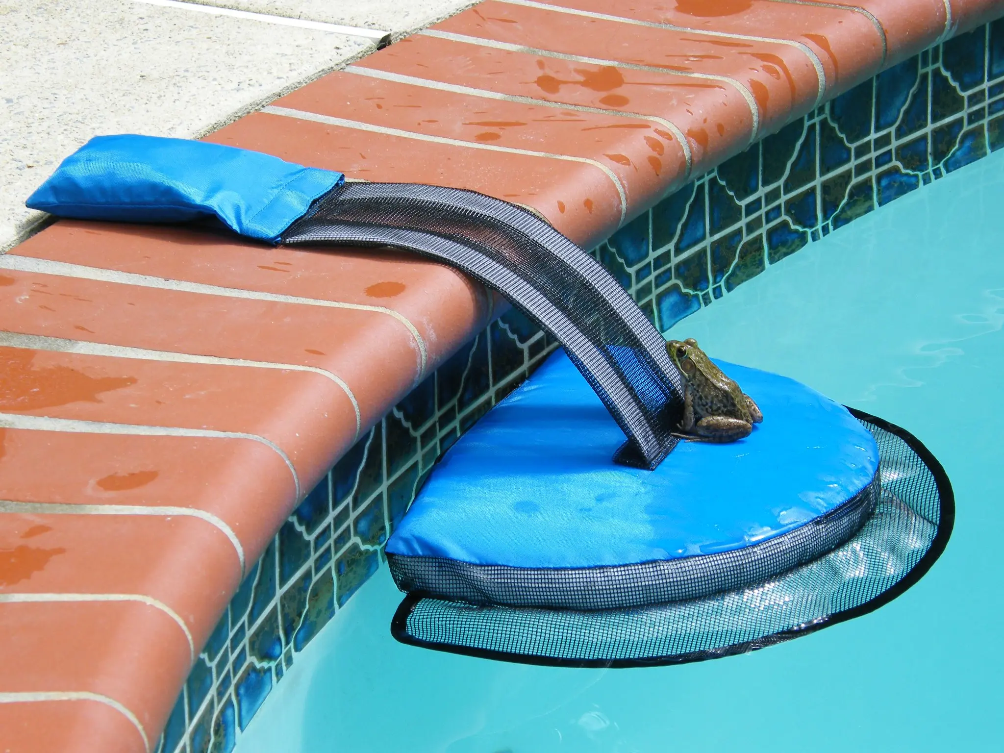 The Original FrogLog-Critter Saving Escape Ramp