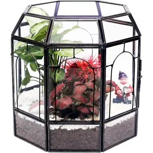 Large Glass Terrarium Handmade, Centerpiece Display Box Gift Planter Containers Indoor Terrariums House for Succulent Cacti Air Plants Miniature Fairy Garden