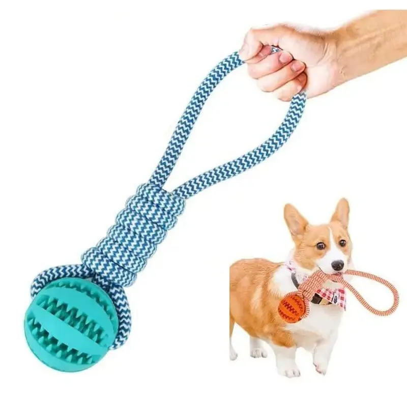 laser toy for cats PawsPik Suction Cup Cat Laser Toy, White