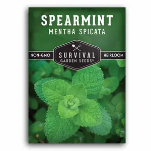 Survival Garden Seeds Spearmint Mentha Spicata Non-GMO Heirloom Seeds for Planting in Garden Fragrant and Refreshing Aromatic Herb
