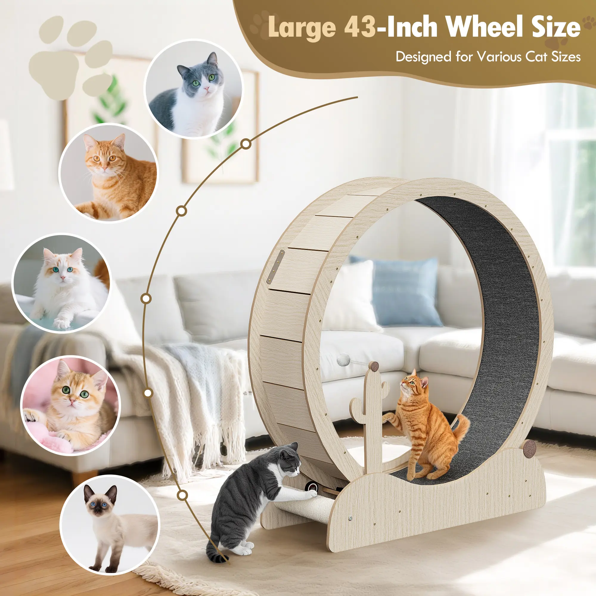 Segawe Large Cat & Kitty Running Wheel - 43-47 in Natural Wood Indoor Treadmill with Enhanced Safety Lock, Paw Guard, and Safe Spin for Active Play