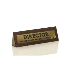 Boxer Gifts Director of Unnecessary Projects Desk Sign | Funny Gift Colleague
