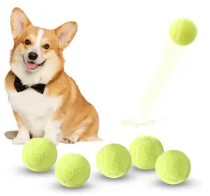 Mini Tennis Balls, 6 Pack 2 inch Dog Tennis Balls, Easy Catching Pet Playing Ball for 2 inch Dog Ball Launcher