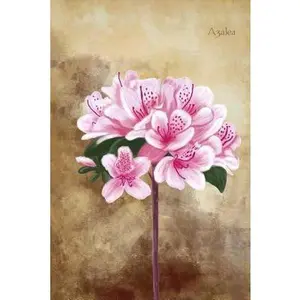USED-Azalea: Vintage Botanical Flower Illustrations Soft Cover Journal, Diary, Notebook with Lined Pages by Journals, Floral Botanical (Paperback)