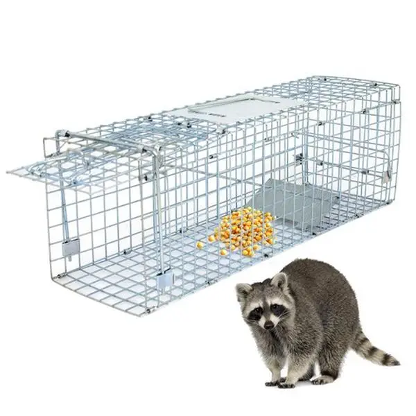 Segawe Humane Animal Trap 24'' Steel Cage for Small Live Rodent Control Rat Squirrel