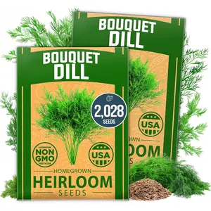 Dill Seeds for Planting – Premium Bouquet Dill Seeds, Heirloom Herb Seeds for Planting Outdoors, Grow Your Fragrant Dill Herb Garden (Anethum graveolens)