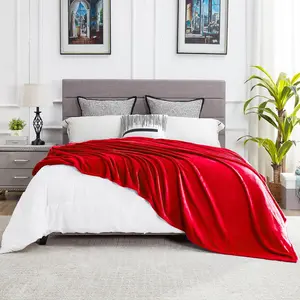 Ultra Large Fuzzy Flannel Full Size 80" x 90", Decorative Lightweight Fluffy Velvet, Big Cute Shag Plush Microfiber Blankets for Bedroom,Red