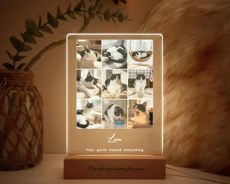 Personalized Pet Memorial Light, Custom Cat Collapse Photo LED Plaque, Pet Loss Sympathy Gift, In Loving Memory Keepsake, Bereavement Remembrance Lamp, 3D Acrylic Night Light Decor, Custom Engraved Picture Frame Room Decoration For Pet Lovers