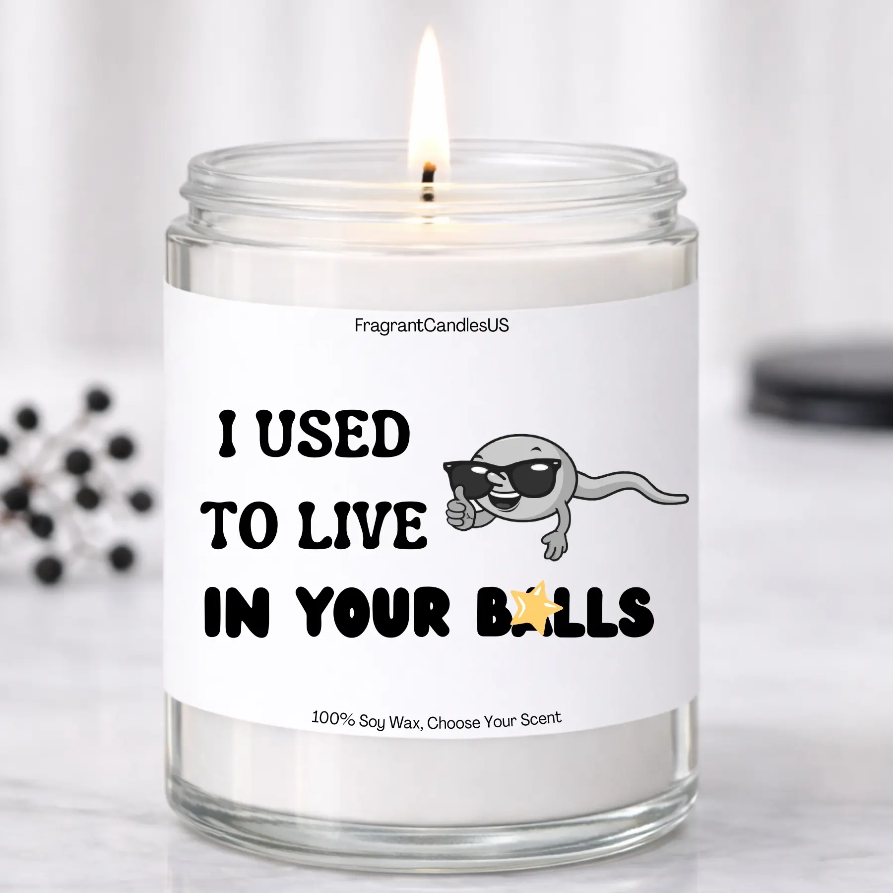 Fathers day gift ideas, Funny Dad Gift, Fathers Day Gift from Daughter Son, Dad Birthday Gift ideas, Retirement Gift for Dad, Gag Gift for dad, Husband Gift Idea,  New Dad Gift, Sarcastic Candle, Soy Candle, Unique Gifts for Dad, I used to live in your