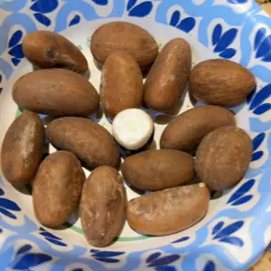 Nigeria Bitter Kola nut for health. 14pcs per pack. Fighting infections, reducing inflammation, reduce blood pressure, respiratory heart