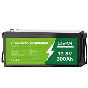 PUJIMAX 12V 300Ah LiFePO4 Lithium Iron Phosphate Battery 300Ah Built-in BMS for Solar RV