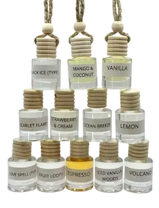 12 Pack Hanging Car Air Fresheners – Assorted Scents, Long Lasting Oil Diffuser