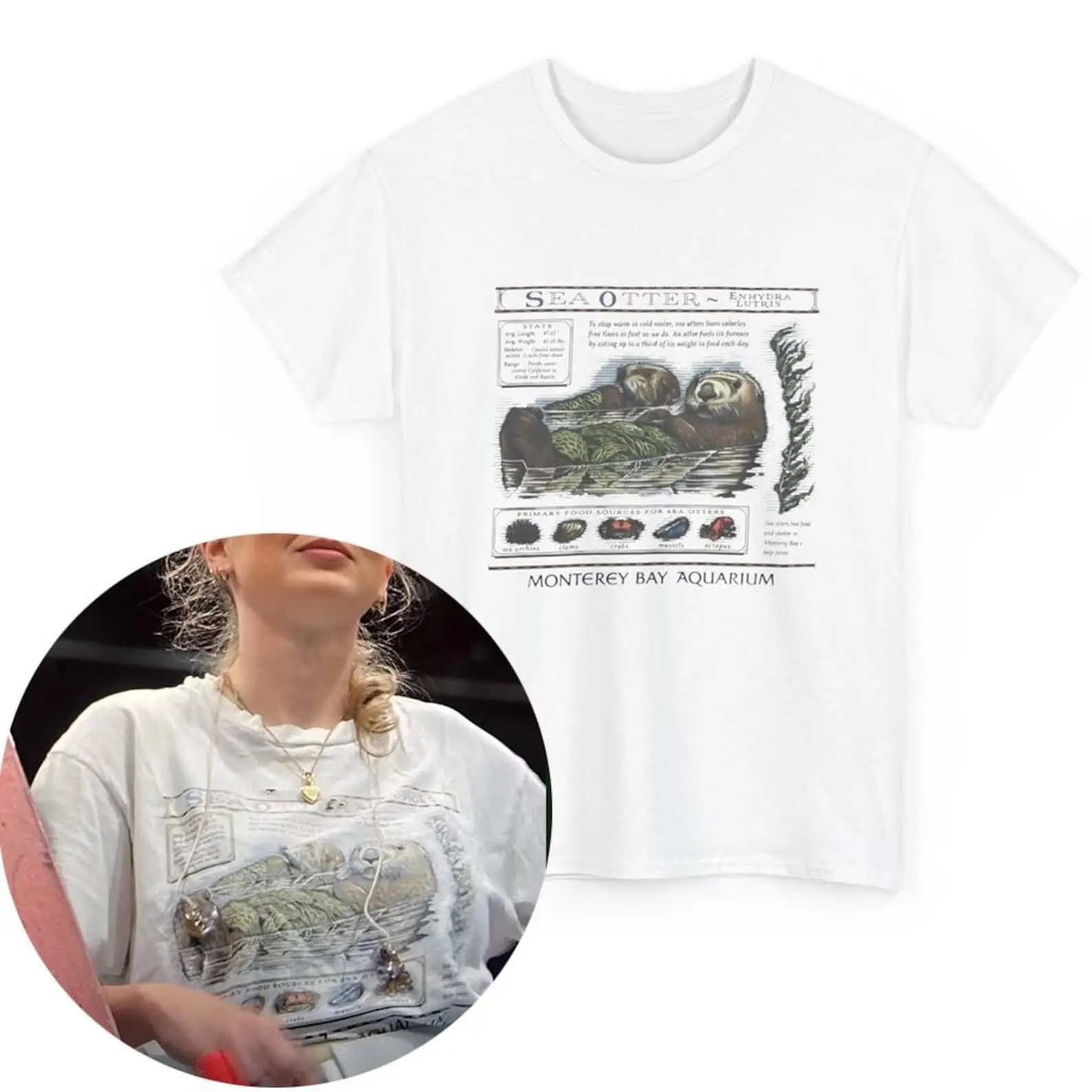 Monterey Bay Aquarium Otter T-Shirt, Sea Otter Tee Shirt