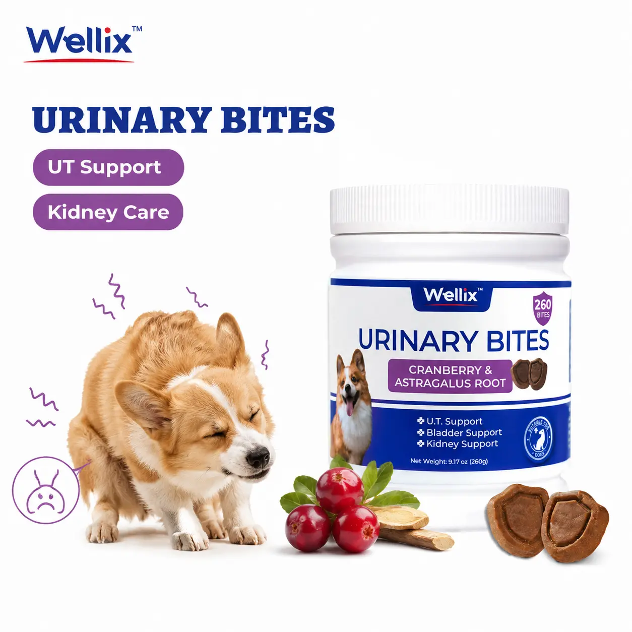 Wellix 260-Count Dog Urinary Bites with Cranberry & D-Mannose, Chicken Flavor