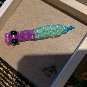 2 pack random colored Kandi Wormies