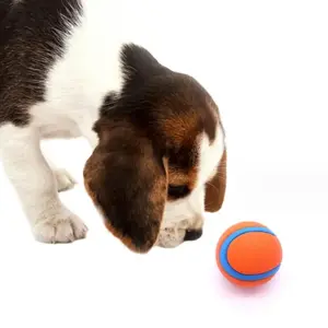 Bouncy Ball Dog Toy,  1 Count  Durable Squeaky Interactive Training Ball for Teeth Cleaning, Water-friendly Dog Toy for Training & Play, Ideal for Medium Breeds