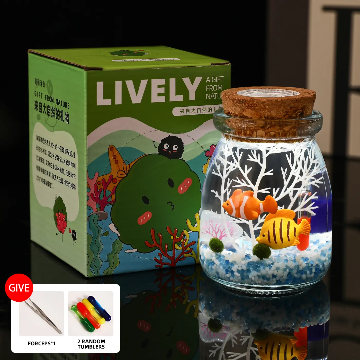 Calming Live Marimo Micro-Landscape - 3.5" Self-Sustaining Aquarium Plant Habitat, Glowing Low-Maintenance Ecosystem for Desk & Visual Calm (Includes LIVELY Moss Ball Pet)