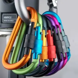 Outdoor climbing carabiner hook quick-release D-type lockable aluminum alloy extra strong and durable nut keychain backpack water bottle clip