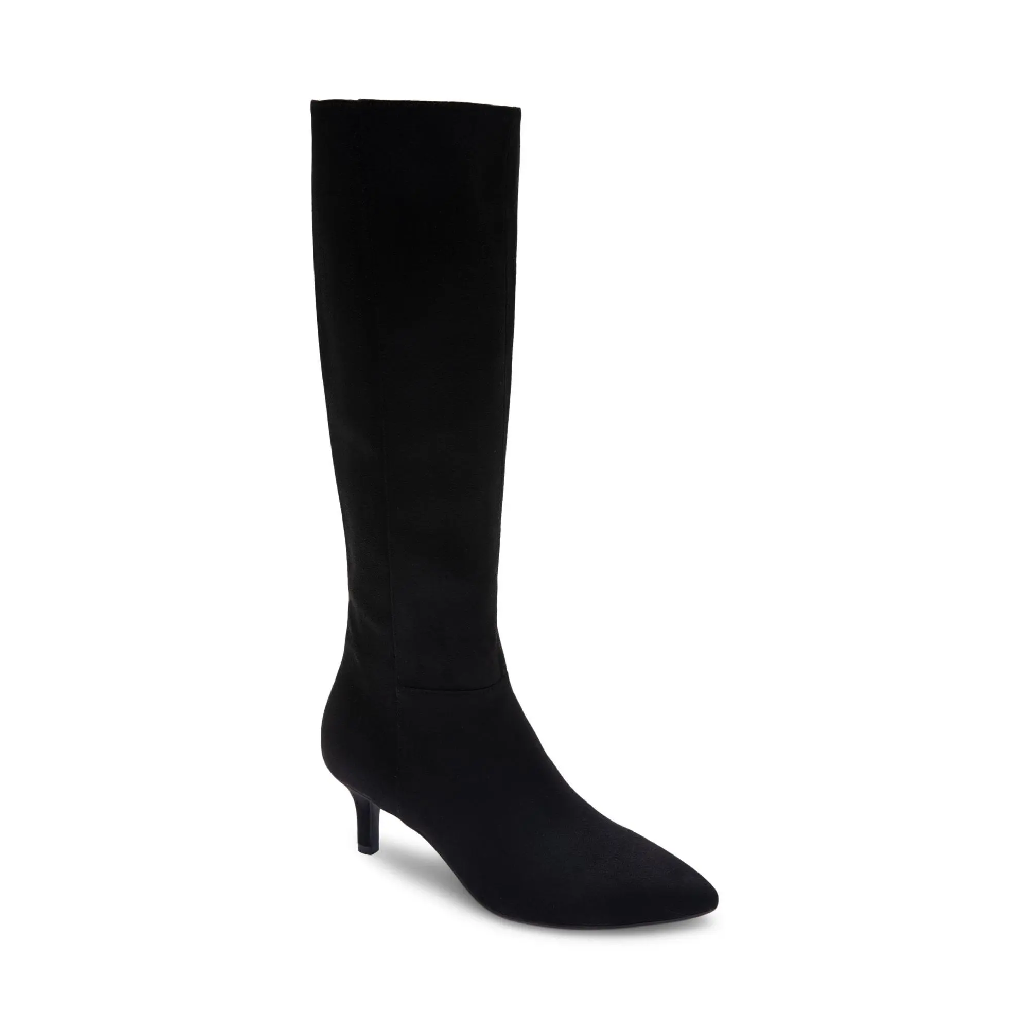 Aerosoles Kitten Heel Tall Boot - Epic