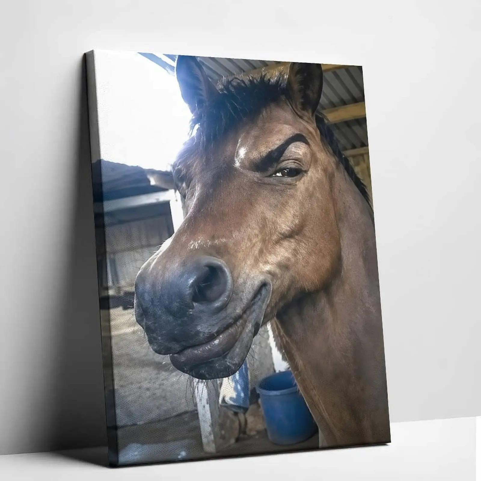 Funny Eyebrow-Raising Horse Meme Canvas Poster, Humorous Animal Wall Art Print, Cute Smiling Horse Picture for Decoration, Playful Vibe Home Decor Gift for Friends Family (Apartment Dorm Office Hanging), Room Decoration