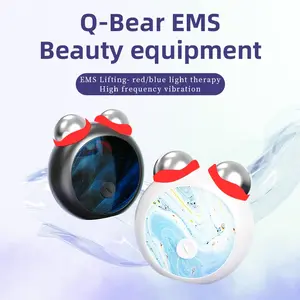 EMS Electric Beauty Instrument Microcurrent Dual Roller Facial Massager Lifting Firming Face Slimming V-Line Device Skin Care Tool