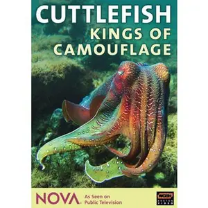 USED-Nova: Cuttlefish - Kings of Camouflage (DVD)