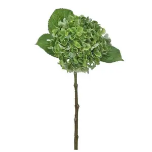 New England Hydrangea Stem