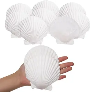 10PCS Sea Shells White Scallop Shells for Crafts Baking Cooking Serving Food, 4-5 inch Large Natural Seashells for DIY Crafts Seashell Beach Decorations for Home Decor