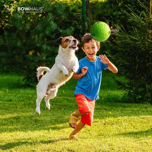 BOWHAUS Giggle Ball for Dogs, 5.5 Inch Interactive Treat Dispensing Ball, Indestructible Fun Squeaky Dog Chew Exercise Toy, Non-Toxic Durable PVC Wobble Giggle Toy for Indoor Outdoor Play