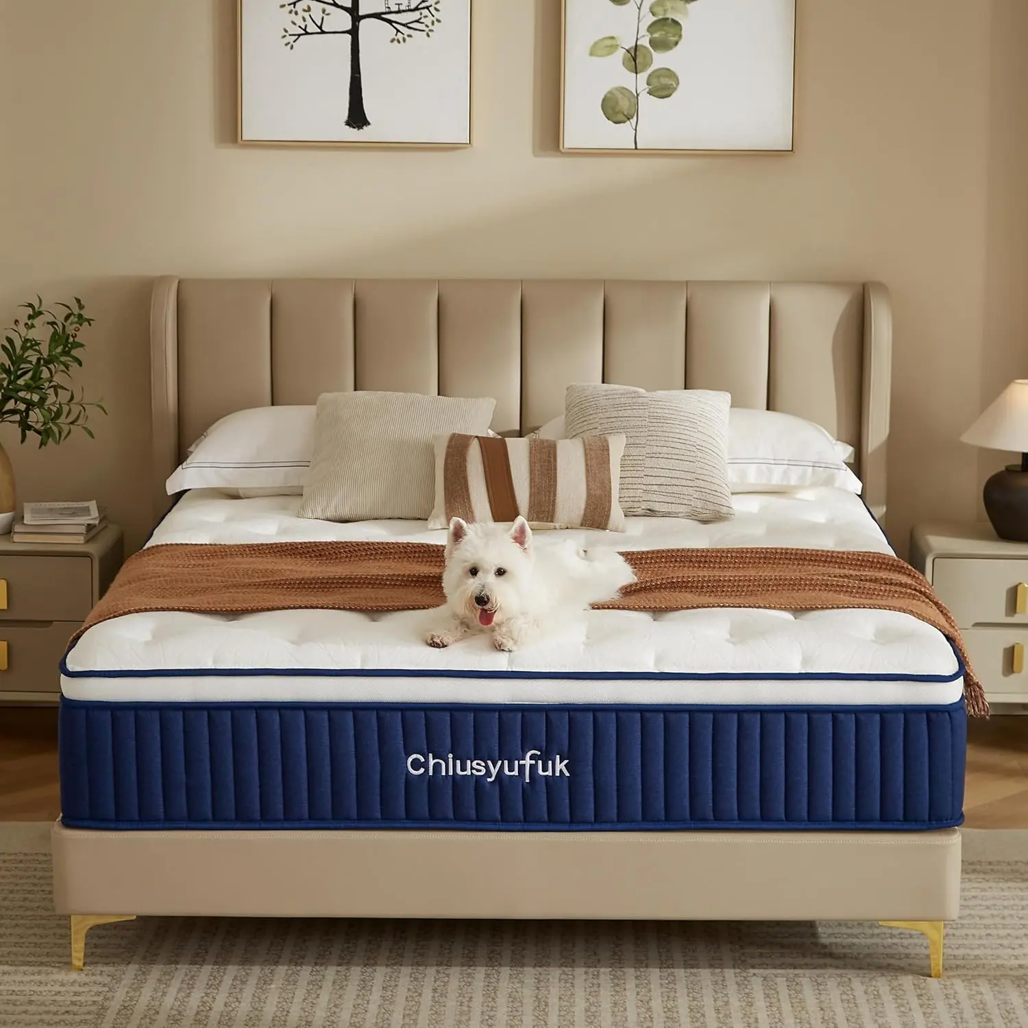10 Inch Queen Foldable Hybrid Mattress in a Box - Twin & Queen Sizes, Memory Foam & Pocket Springs, Medium Firm Ergonomic Support, Lumbar & Neck Care, Cooling Gel, Motion Isolation, Breathable Fabric, Ideal for Back Pain Relief, Hot Sleepers, Foldable Mat