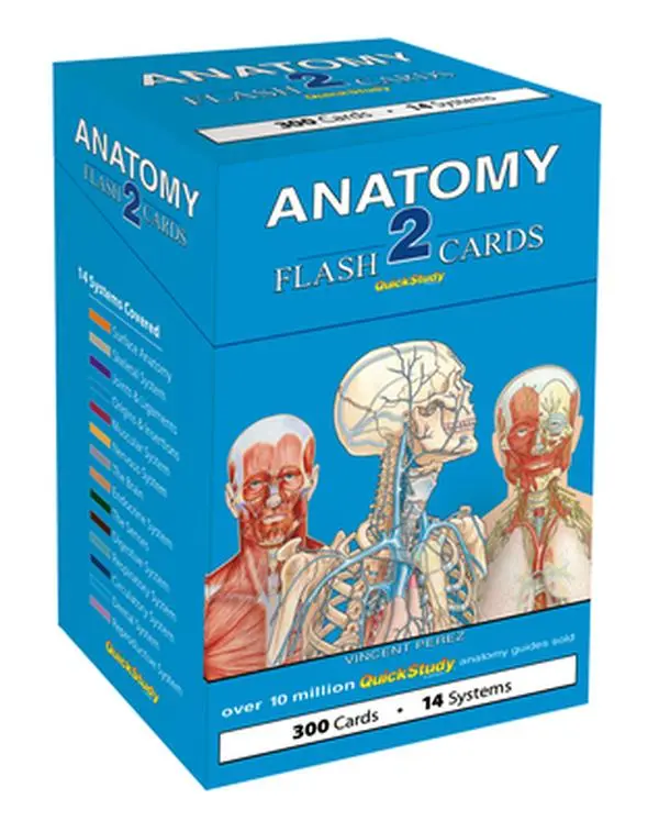 Anatomy 2 Flash Cards - Quickstudy Reference Tool for Nurses, English Flashcards for Studying with Award-Winning Illustrations & Max Labels Per Card by Vincent Perez