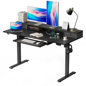 Agilestic Electric Standing Desk with 2 Drawers & Keyboard Tray, Adjustable Home Office Desk Ergonomic Sit to Stand Computer Desk with Hooks for Gaming & Work,Gaming Desks Gifts for Men and Women,Black/ Rustic Brown/White/oak