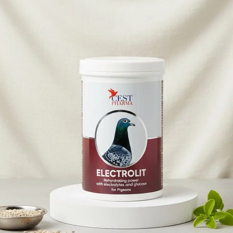 Cest Electrolit – Electrolytes with Glucose for Messenger Pigeons