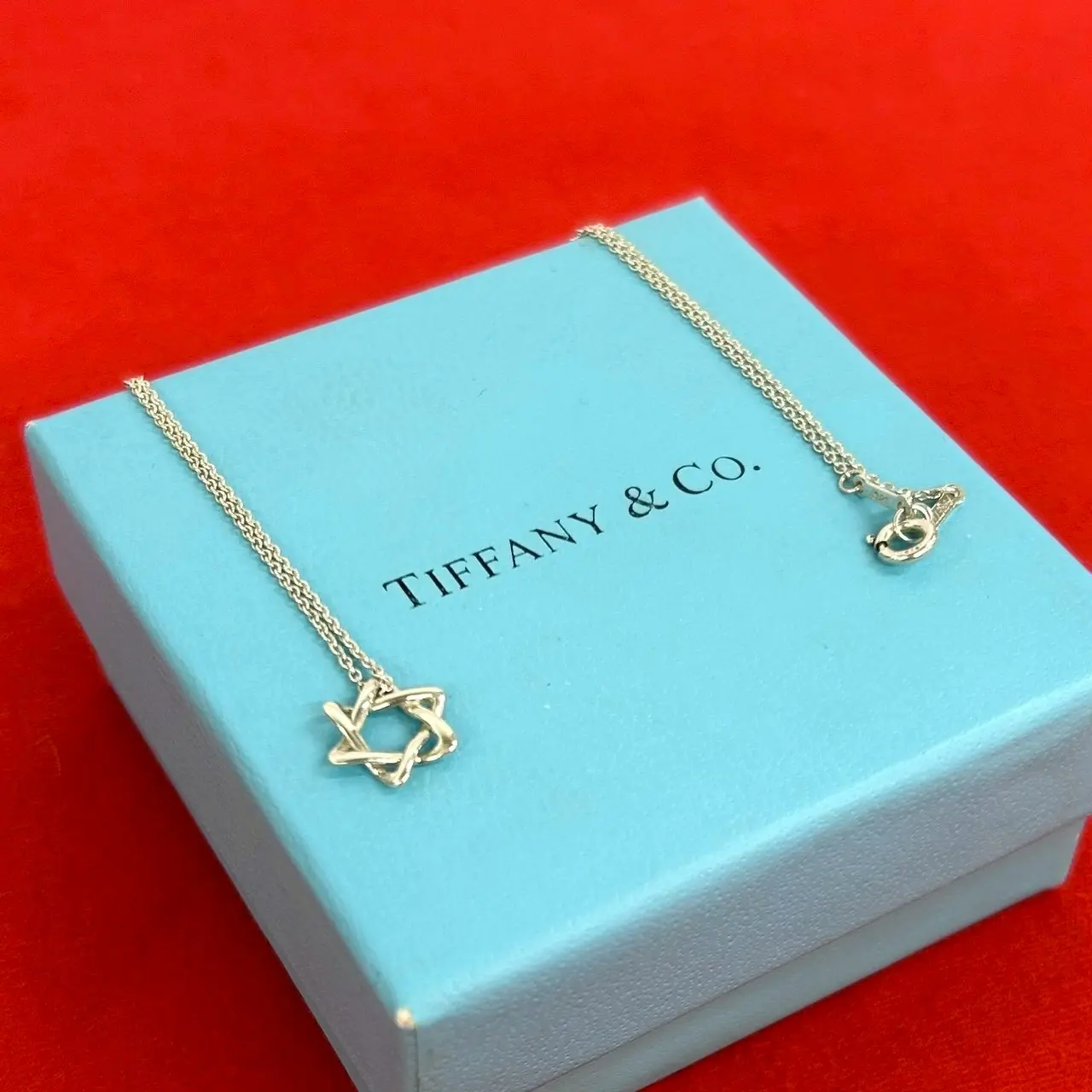 Pre-owned Tiffany & Co. Sterling Silver 925 (Ag925) Small Leather Goods Tiffany&Co. Silver Star of David Necklace
