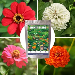 Seed Needs Zinnia Seeds 200 Heirloom Seeds Zinnia Elegans Open Pollinated | Prolific Large Multicolor Blooms Makes a Great Cut Flower