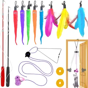 Cat Toys Interactive for Indoor Cats,2PCS Retractable Cat Wand,9PCS Teaser Toys&1PCS Hanging Door Lure Kitten Toy,Interactive Feather Toy for Teaser Play and Chase Exercise with Kitten