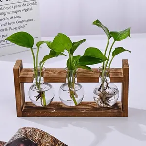 Creative Wooden Frame Hydroponic Small Vase with Glass Bottle Container, Green Ivy Plant, 3-Piece Home Living Room & Office Desk Decor