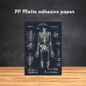 Human anatomy diagram Cool Art medicine Poster Frameless poster pp Matte adhesive paper for Living room hallway bedroom