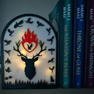 Throne of Glass inspired bookshelf decor